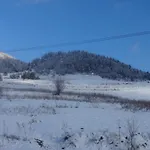семеен 